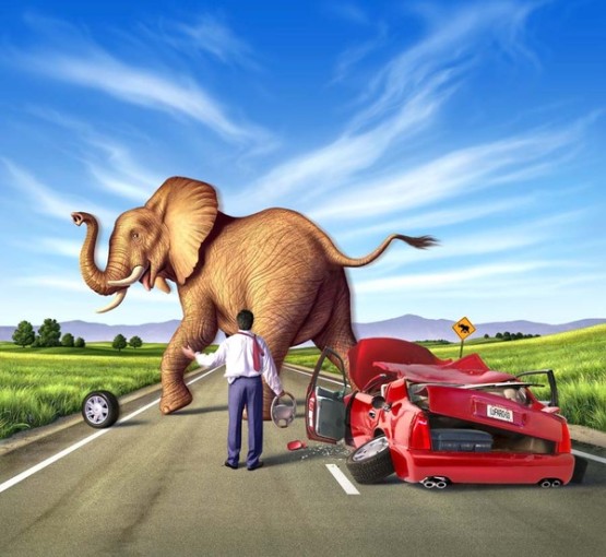 gambar animasi hewan