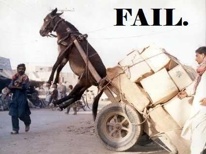 gambar lucu dan aneh Kuda terbang