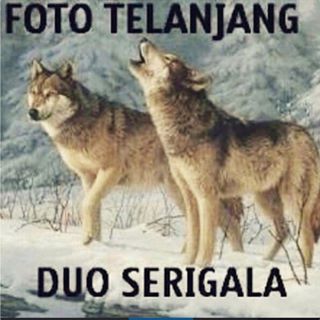 dp bbm lucu foto telanjang duo serigala