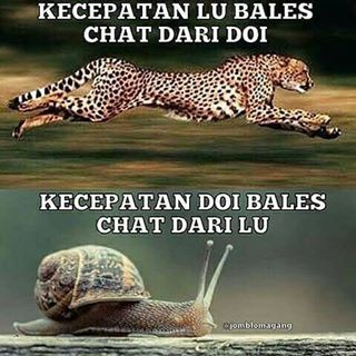 foto kata kata cinta lucu banget terbaru