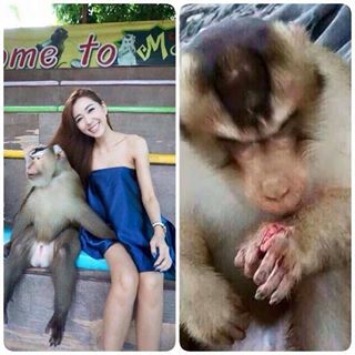 gambar dp bbm lucu terbaru