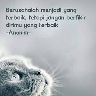 kata kata motivasi semangat