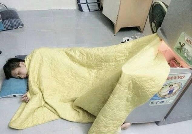 gambar lucu melawan cuaca panas