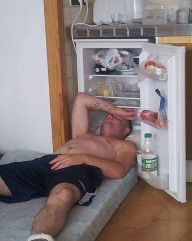 gambar lucu tidur di kulkas karna cuaca panas